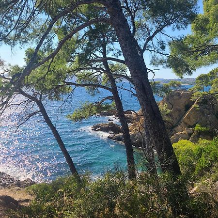 Evasion Nature A Cap Esterel Jardin, Mer & Golf Tout Confort Saint-Raphaël Buitenkant foto