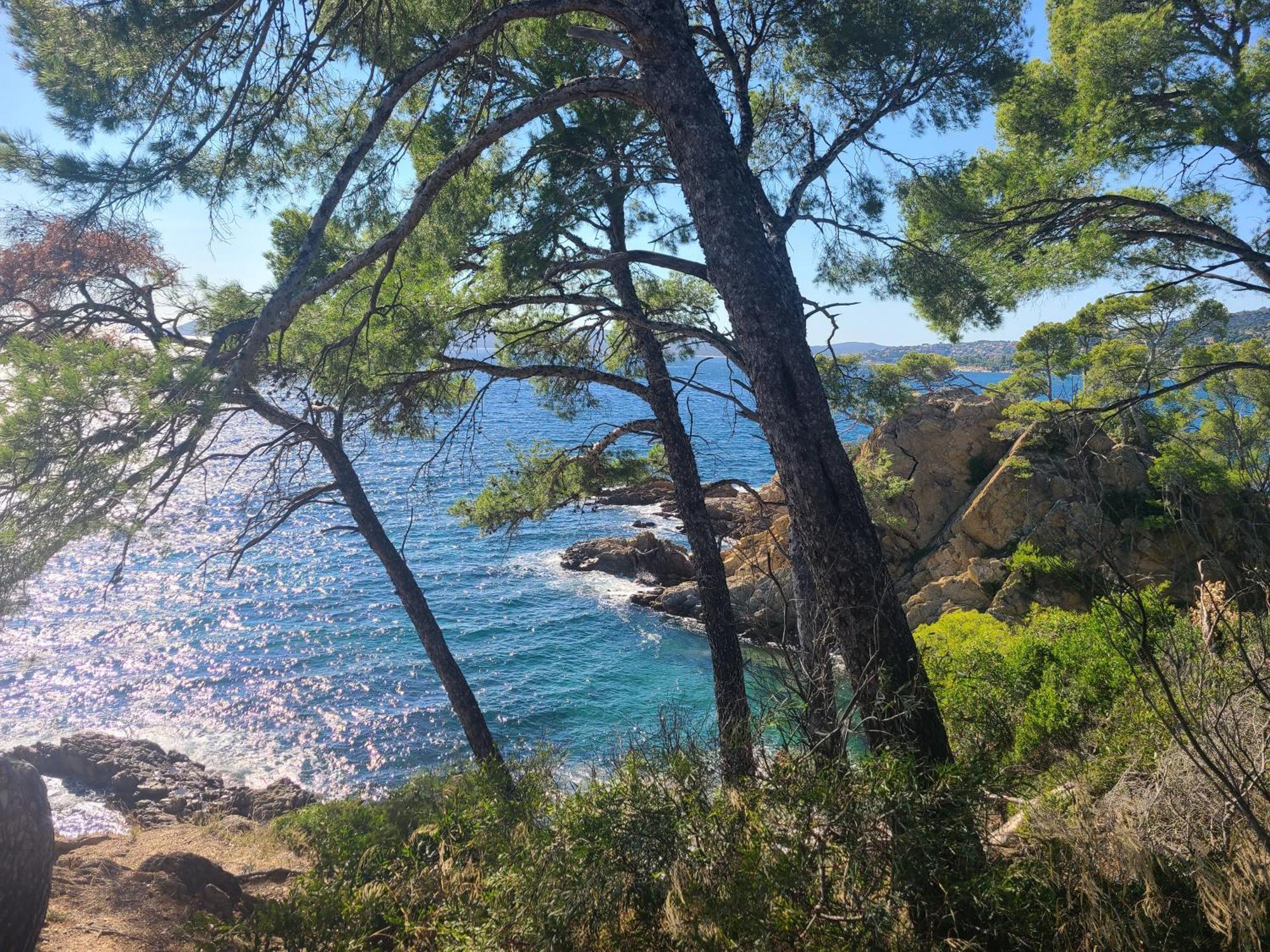 Evasion Nature A Cap Esterel Jardin, Mer & Golf Tout Confort Saint-Raphaël Buitenkant foto